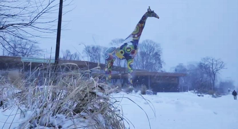 У Київському зоопарку зимують 200 врятованих від війни тварин — Кличко
