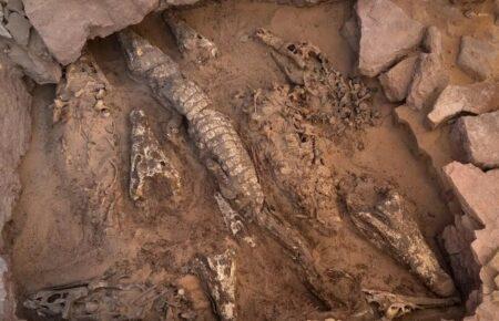 Археологи у Єгипті знайшли гробницю з муміями крокодилів