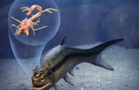 Вчений випадково знайшов найдавніший мозок риби (ВІДЕО)