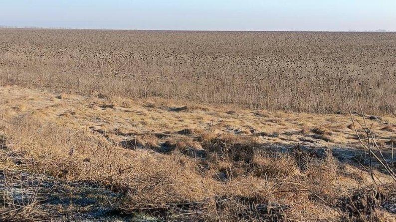 На Херсонщині різко зріс попит на металошукачі, люди самотужки шукають міни на полях — Данилов