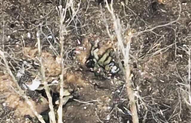 Десантники знищили польовий табір окупантів на Донеччині (ВІДЕО)