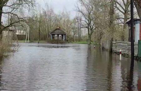 Уровень воды в Днепре в Киеве упал, но синоптики не исключают вторую волну паводка