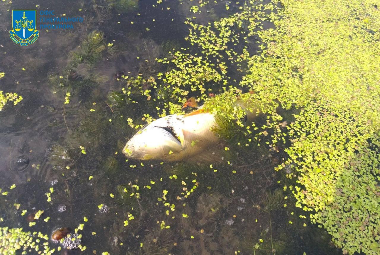 Впервые в истории независимой Украины состоится суд за экоцид