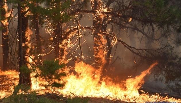 У 18 регіонах РФ вирують лісові пожежі — загинули семеро людей