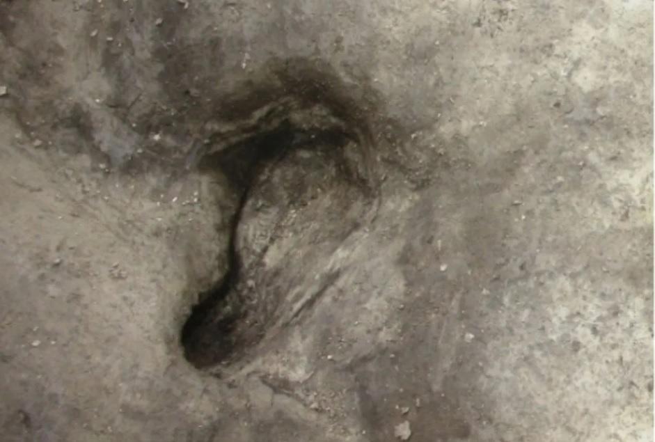 В Германии обнаружили следы древних людей возрастом 300 тысяч лет