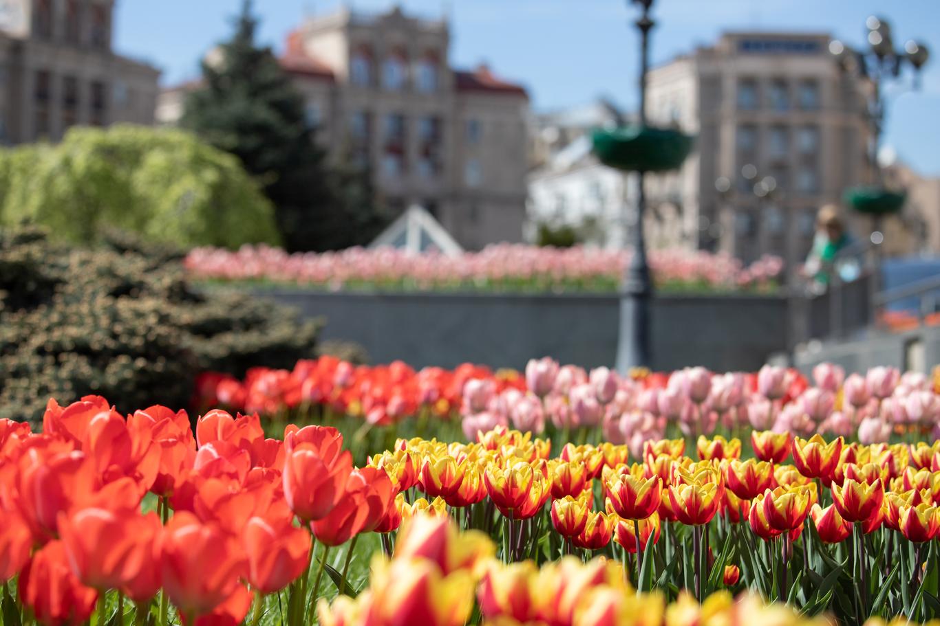 У Києві середньомісячна температура у квітні була нижчою за норму