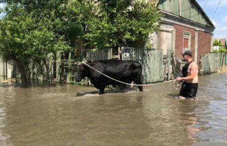 Ми сформували мобільні групи, які допомагатимуть людям у підтоплених селах Херсонщини — голова гуманітарної місії «Проліска»