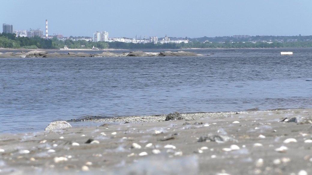 У Запоріжжі люди фіксують, як швидко і різко міліє Дніпро — журналістка