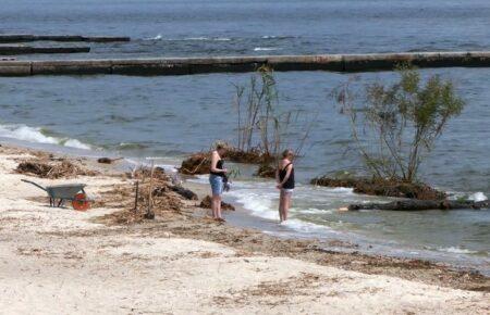 В Одесской области из-за подрыва Каховской ГЭС фиксируют цветение воды в море — ОВА