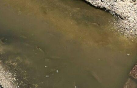 Підтоплення на Херсонщині: лікар-інфекціоніст пояснив, у чому небезпека криничної води