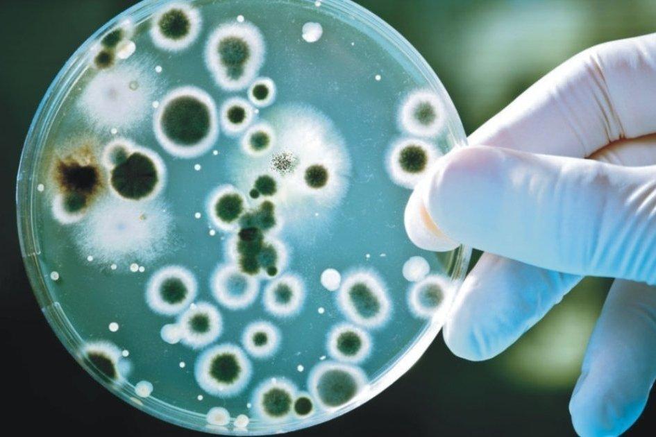 Лікарка розповіла, які інфекційні захворювання активізуються після затоплення територій