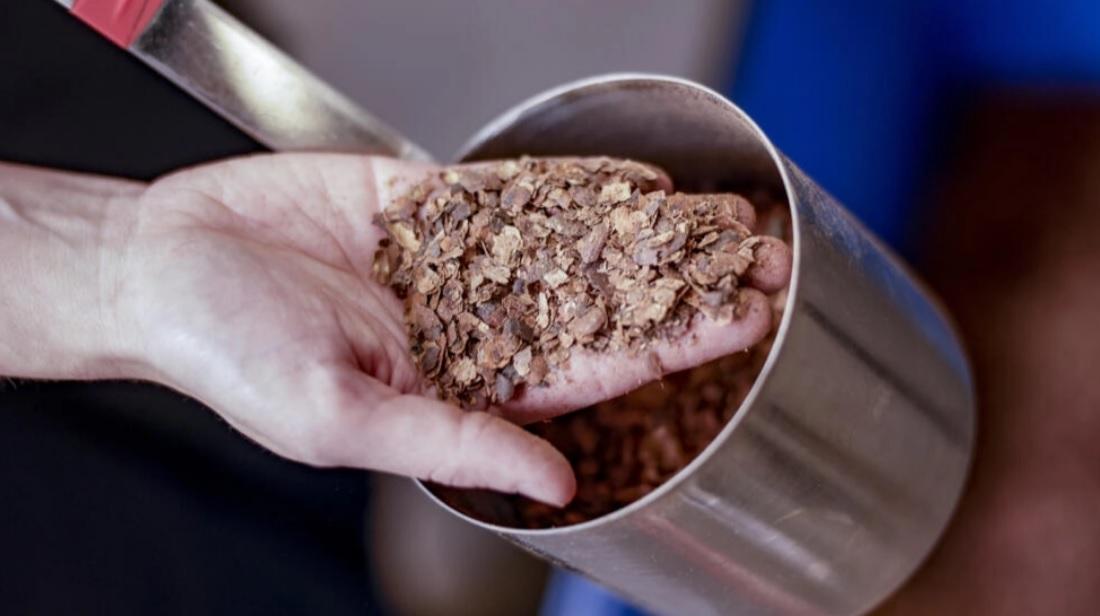 Перероблені какао-боби можуть блокувати парникові гази