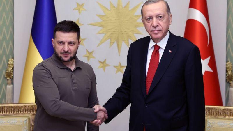 Чому Ердоган відпустив командирів «Азову»?