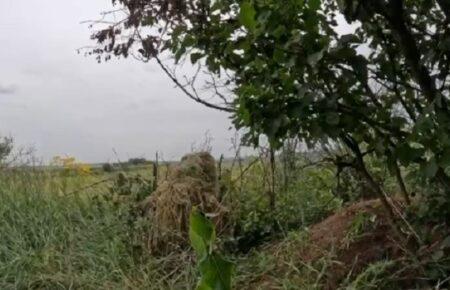 Сили оборони просуваються на Бахмутському напрямку, а росіяни потрапляють у пастки — Сирський