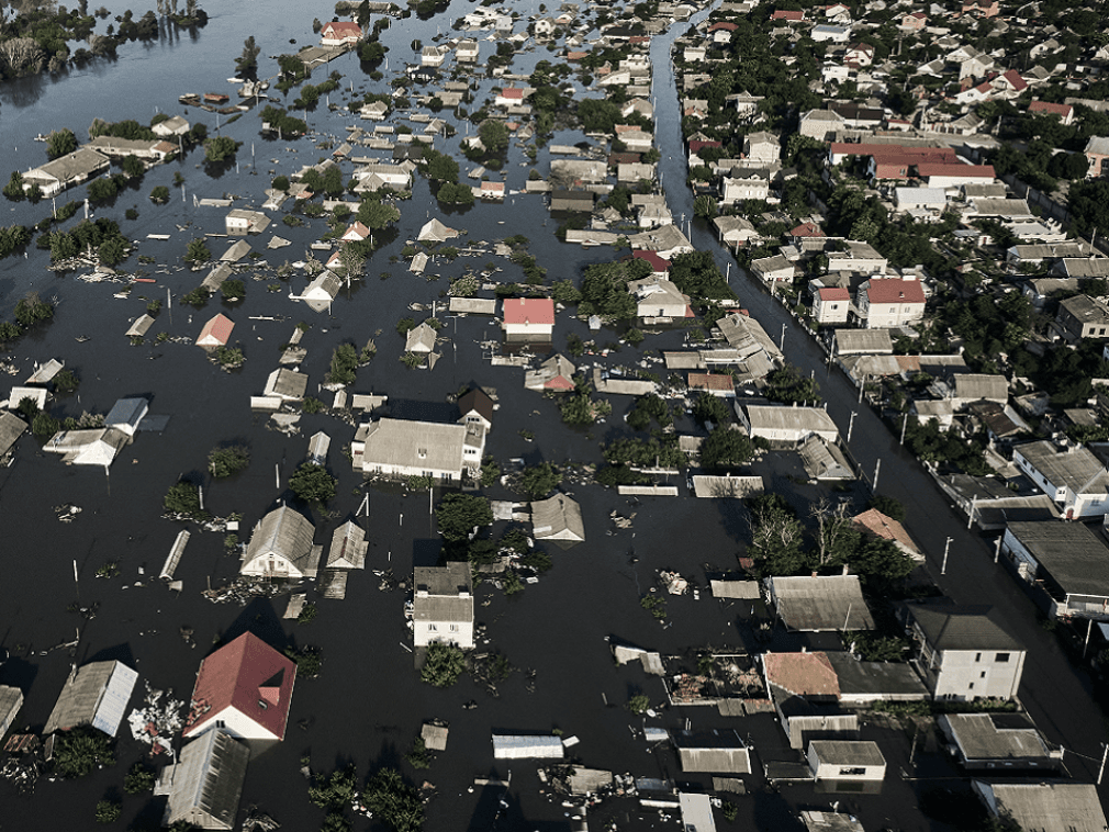 У Херсонській ОДА розповіли, скільки часу треба на відновлення екосистеми області