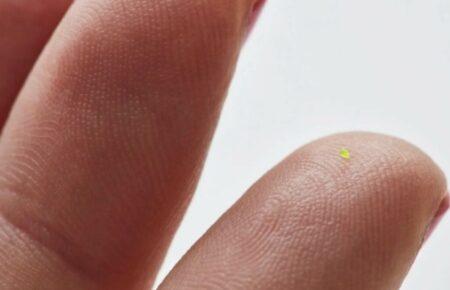 Мікроскопічну сумку Louis Vuitton продали на аукціоні за понад $60 тисяч