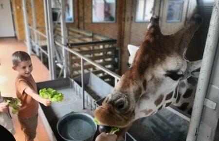 Володимир Топчий: Якось на територію зоопарку впало 8 ракет, але тварини не злякалися