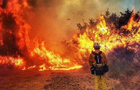 Лісові пожежі нагрівають планету більше, ніж вважалося раніше — дослідження
