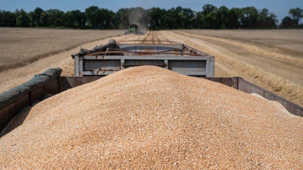 У МЗС відреагували на ініціативу пʼяти країн ЄС щодо заборони імпорту українського зерна