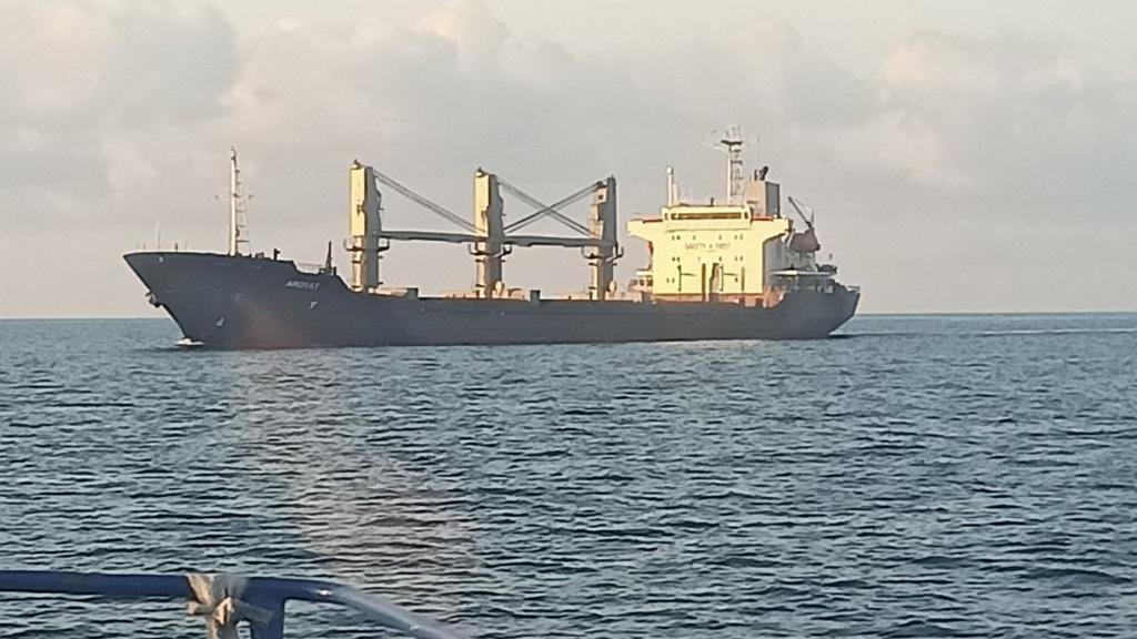 До Туреччини прибуло судно із понад 17,5 тисячами тонн українського зерна