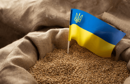Україна хоче уникнути судової тяганини в рамках СОТ щодо заборони імпорту зерна — Мінекономіки