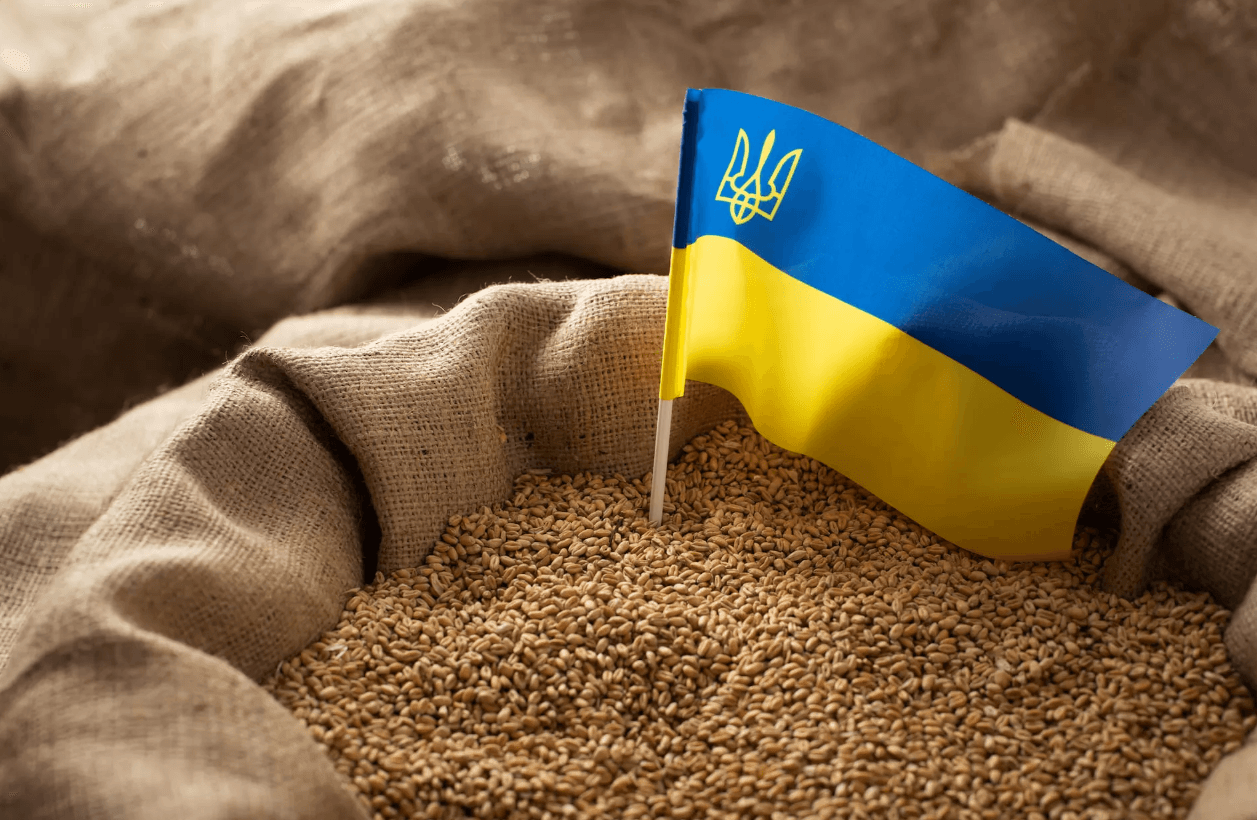 На окупованій Херсонщині росіяни задешево скуповують у фермерів зерно для перепродажу
