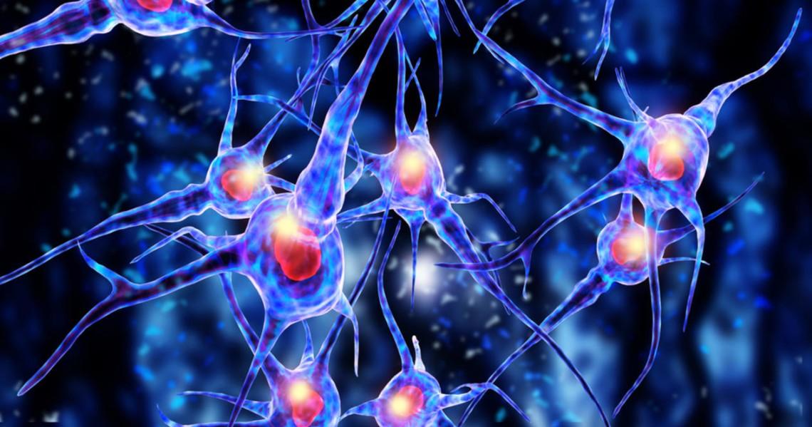 Оксфордські дослідники надрукували нервові клітини на 3D-принтері