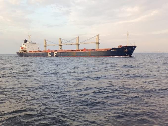 З українських портів вийшли три судна з агропродукцією і залізною рудою
