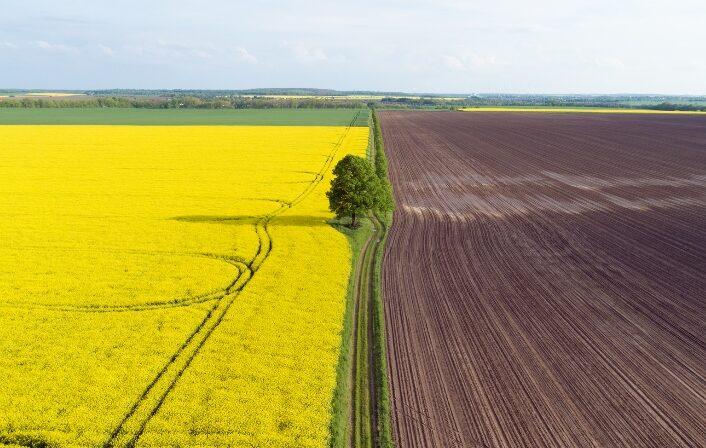 Аграрії закликають не збільшувати до закінчення війни ліміт дозволеної купівлі землі у 100 разів