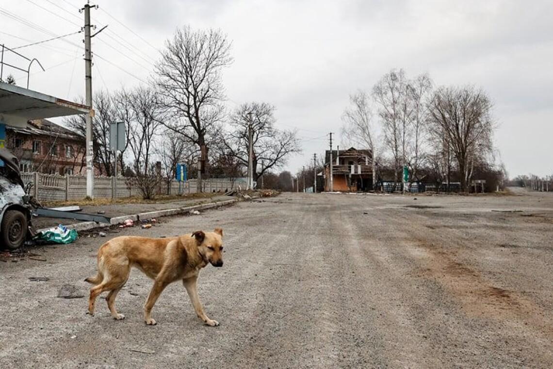 Російські окупанти випустили 279 снарядів по Херсонщині за добу