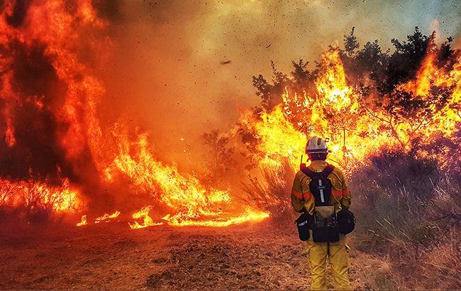 З початку повномасштабного вторгнення через російські обстріли сталась понад тисяча лісових пожеж — Ua Animals