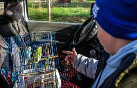 «Белые ангелы» вывезли из Донецкой области еще 15 детей