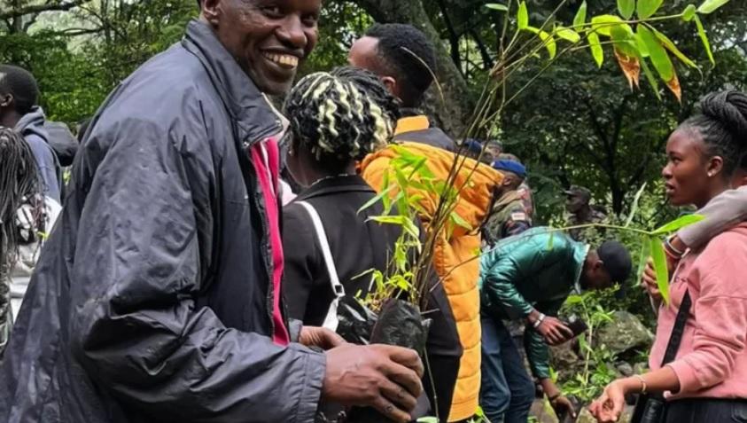 У Кенії оголосили офіційний вихідний для посадки 100 мільйонів дерев