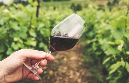 Війна і вино: рахуємо збитки та створюємо нові винні центри