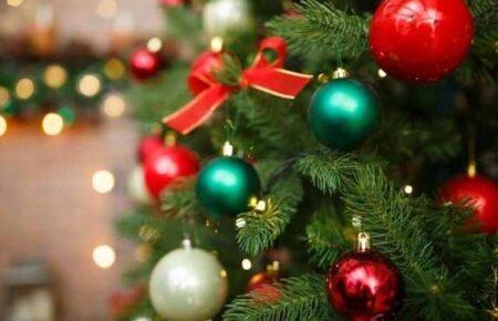 Новый год будет без снега — Кульбида