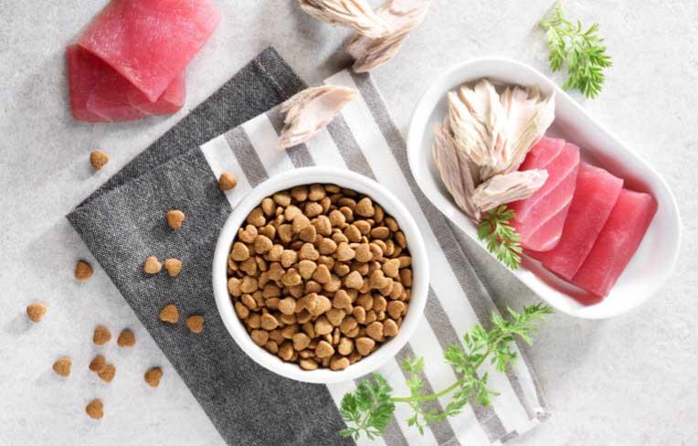 Проплан: Качественное Питание для Заботы о Вашем Питомце в Киеве