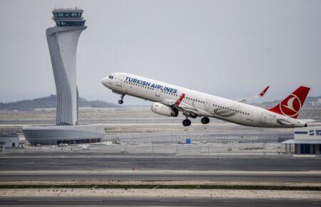 Літак Turkish Airlines перервав зліт через кота-нелегала в салоні