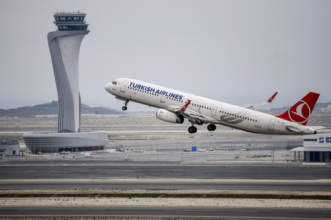 Літак Turkish Airlines перервав зліт через кота-нелегала в салоні