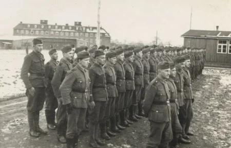 Співпраця ОУН із Німеччиною була на кілька тижнів довшою, ніж радянська — дослідниця