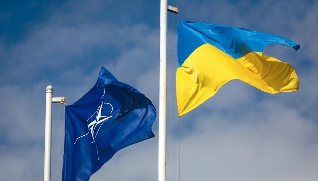 Політичним рішенням на саміті НАТО має бути запрошення України до Альянсу — Рейтерович