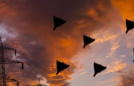 The air defense forces successfully destroyed all «Shaheds» launched by Russian occupiers during the night