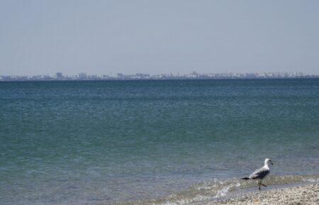 День кримського спротиву російській окупації: фоторепортаж «Окупація у 9 кадрах»