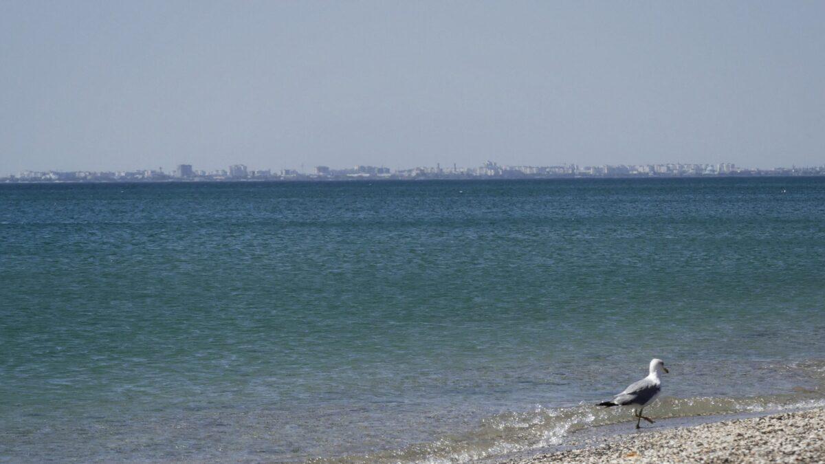 День кримського спротиву російській окупації: фоторепортаж «Окупація у 9 кадрах»