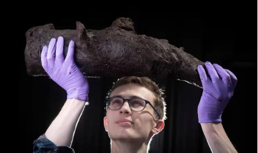 В Англії на торфовищі знайшли доісторичні фрагменти рослин і комах — їм близько 5 000 років