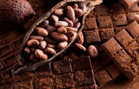 Какао-боби стали найприбутковішим товаром року