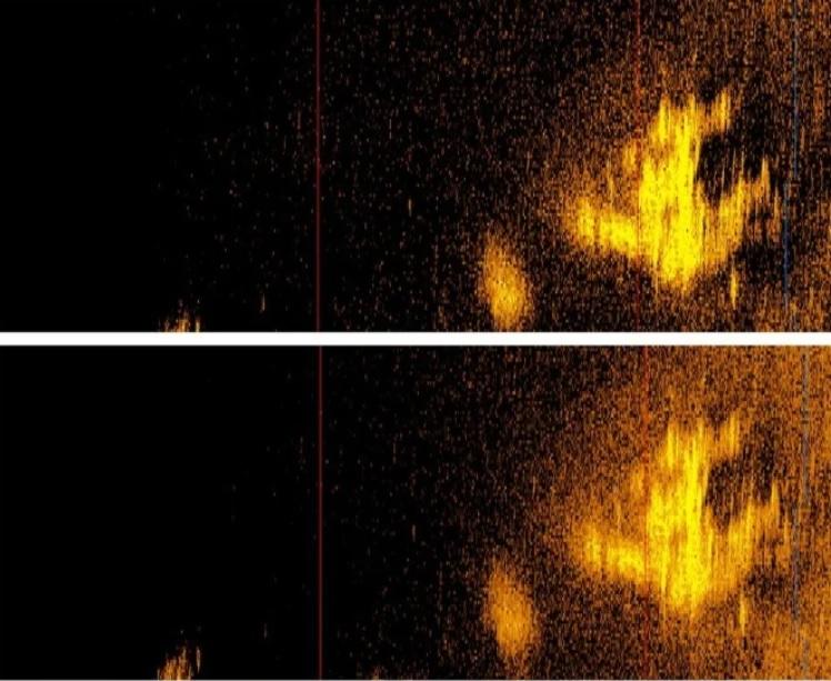 У Тихому океані знайшли літак, який міг належати льотчиці Амелії Ерхарт — вона зникла понад 85 років тому