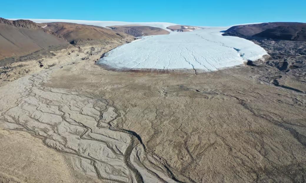 На місці розталих льодовиків Гренландії утворюються болота