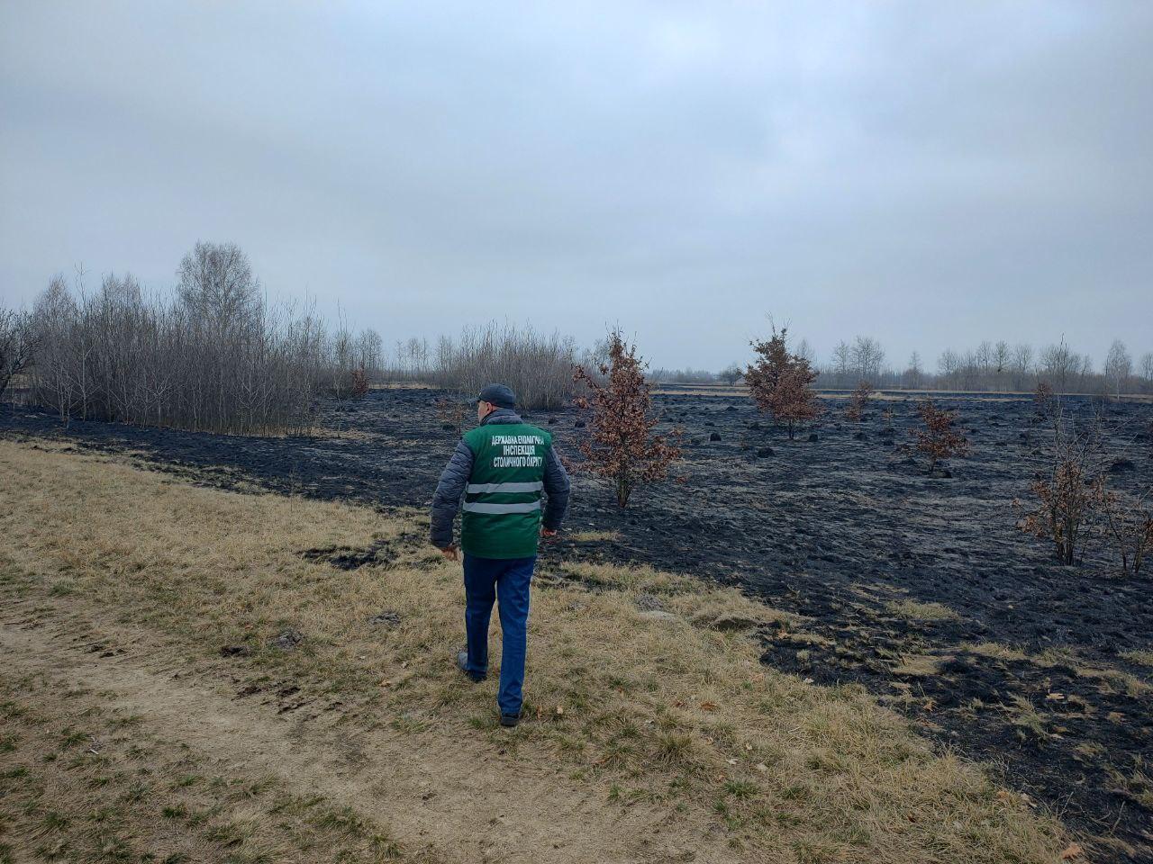 Пожежа у заказнику на Осокорках: екоінспектори оцінили збитки, завдані довкіллю (ФОТО)