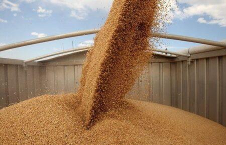 Ukraine needs an economy to survive and endure — former head of delegation to NATO PA on agricultural exports