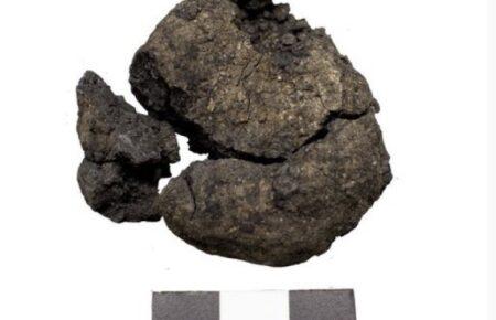 У Туреччині знайшли найстаріший у світі хліб — йому приблизно 8 600 років